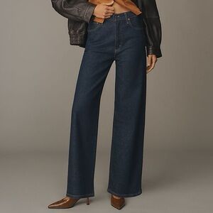 AGOLDE REN HIGH-RISE WIDE-LEG JEANS Size 28